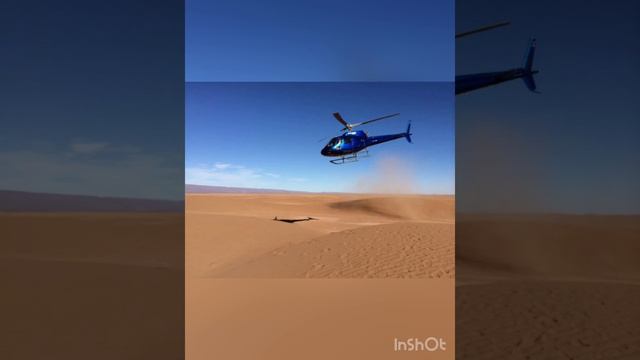 Выживание в пустыне