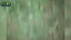 ►С Оружием Шутки Плохи   Идиоты С ОРУЖИЕМ   НЕУДАЧИ и Фейлы С ОРУЖИЕМ