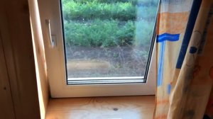 Обзор бани из блоков сделанную своими руками