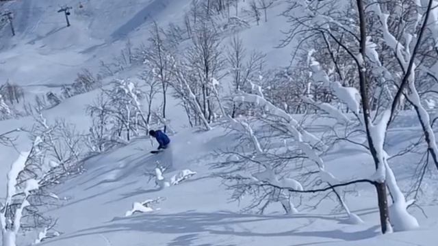 Телемарк поворот казачий...