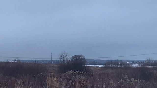 Соколиная охота декабрь 2020