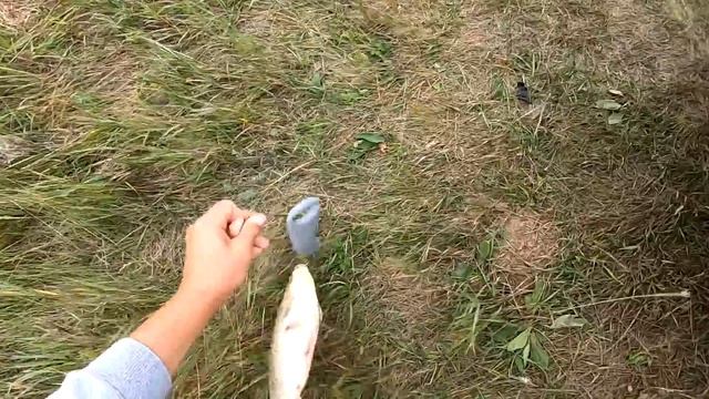 ТАКИХ Я ЕЩЁ НЕ ЛОВИЛ!!! КАРАСЬ ГИГАНТ. ТРОФЕЙНАЯ РЫБАЛКА. смотреть онлайн