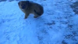 Самодельная сеялка точного высева для лука (часть-1).