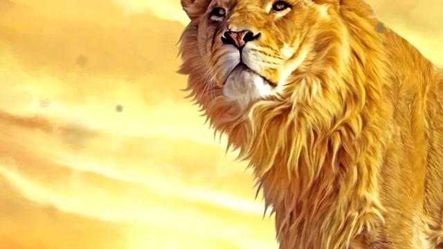 Хадисы пророка Мухаммада смотреть онлайн