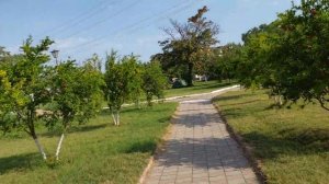 Быстрый обзор турбазы Рубас-1. Отдых с палатками на море (2022 август)