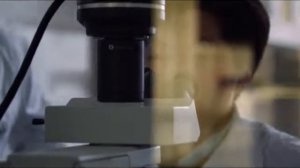 Спасение панды