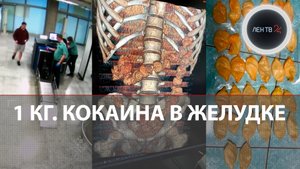 В Пулково задержали наркокурьера с 1 килограммом кокаина в желудке | Видео
