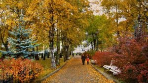 Осенний город. Калининград осенью.