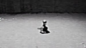 Restricted Restoration VHS Bron (Poppy Playtime Chapter 3) En Español Latino