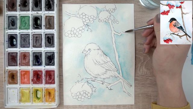 Как нарисовать снегиря. Урок рисования. Акварельный скетчинг. смотреть онлайн