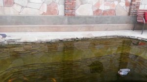 декоративный водопад на даче