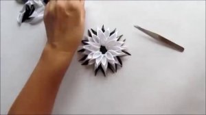 Игольчатая астра канзаши.