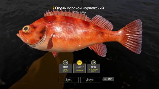Первый Гимантолоф • Много рыбы в подводных протоках • 3 часа рыбалки за 5 минут • Русская Рыбалка 4