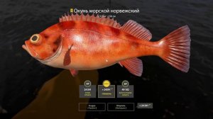 Первый Гимантолоф • Много рыбы в подводных протоках • 3 часа рыбалки за 5 минут • Русская Рыбалка 4