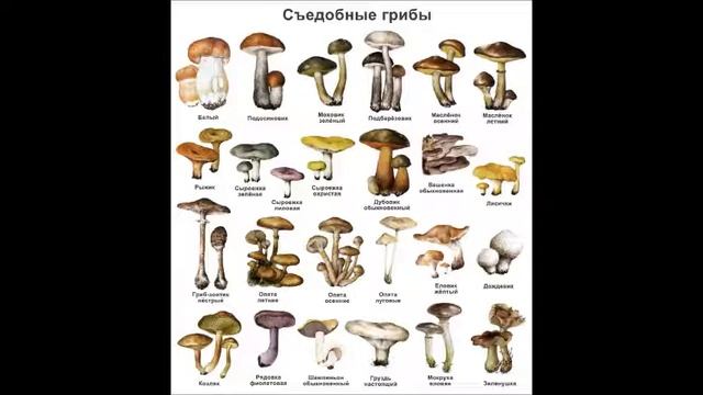 Переутомление усталость как  бороться. Усталость ног усталость мозга усталость на работе.