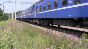 Тепловоз ТЭП70-0246 с поездом № 49 Санкт-Петербург — Брест