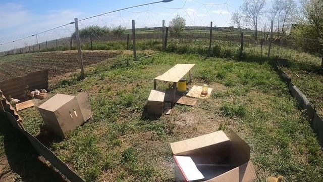 ДЕРЕВЕНСКИЕ БУДНИ/ РАБОТА В ОГОРОДЕ ПРОДОЛЖАЕТСЯ/ ЖИЗНЬ В ДЕРЕВНЕ смотреть онлайн