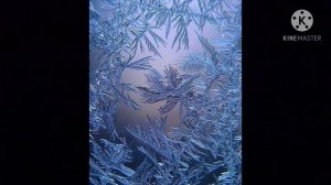 ЧТО И ПОЧЕМУ РИСУЕТ МОРОЗ НА СТЁКЛАХ?