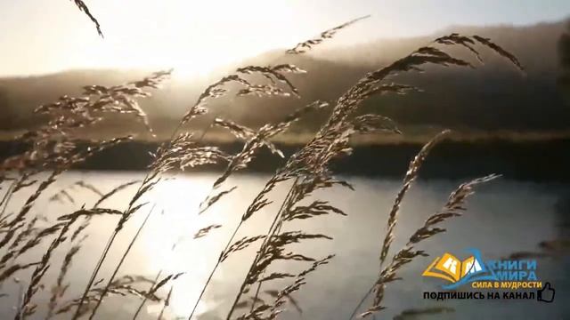 Мудрые Сказки на Ночь для Взрослых и Детей. Ёжикины Сказки Сергей Козлов и Никошо