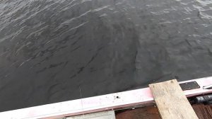 #Карелия#Рыбалка#Кораблик#Озеро#Хариус Поиск и ловля хариуса на кораблик, на озере.