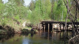 Одиночный поход Нея-Унжа.Костромская область.Часть 1. Май 2019г.