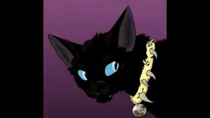 Клип коты воители бич