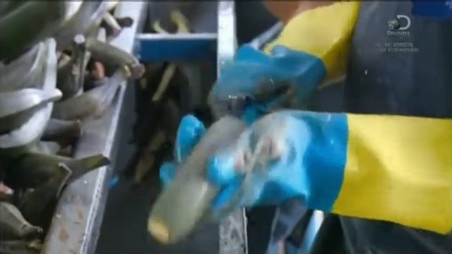 Банановые чипсы как это сделано___how this is done___
