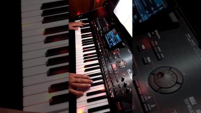 Sangon Blues (C. Simonetti - G. Farassino) - Italian Popular Blues - on Korg Pa4x - by Corrado смотреть онлайн