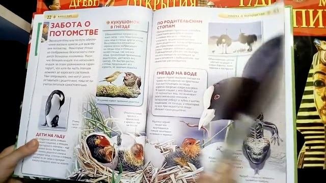 Детская энциклопедия 