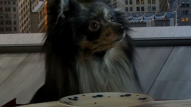 ASMR Печень и желудки куриные. Вкуснота. смотреть онлайн