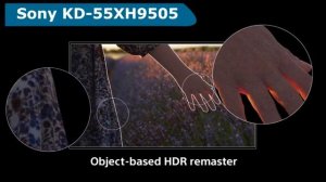 Телевизор Sony KD-55XH9505 - краткий обзор