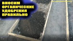 Подготовка грядок к посадкам.Вносим сапропель