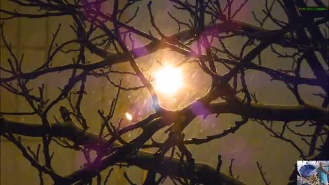 Падает снег Анатолий Жемаев смотреть онлайн