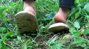 Ex-husband secretly came to cook for Sua’s mother and children - The first warm meal