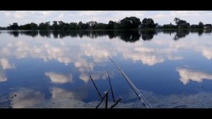 #рыбалка на болоте | лов по 2 карася сразу | бешеный клёв