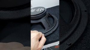 новые 25 см эстрадные динамики DST CM 25.1