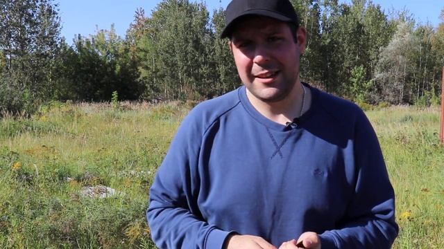 Запряжники под заказ смотреть онлайн