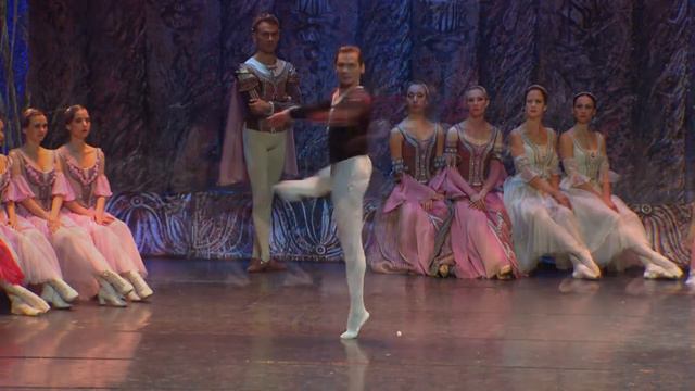 SWAN LAKE at the Theatre Royal Hobart смотреть онлайн