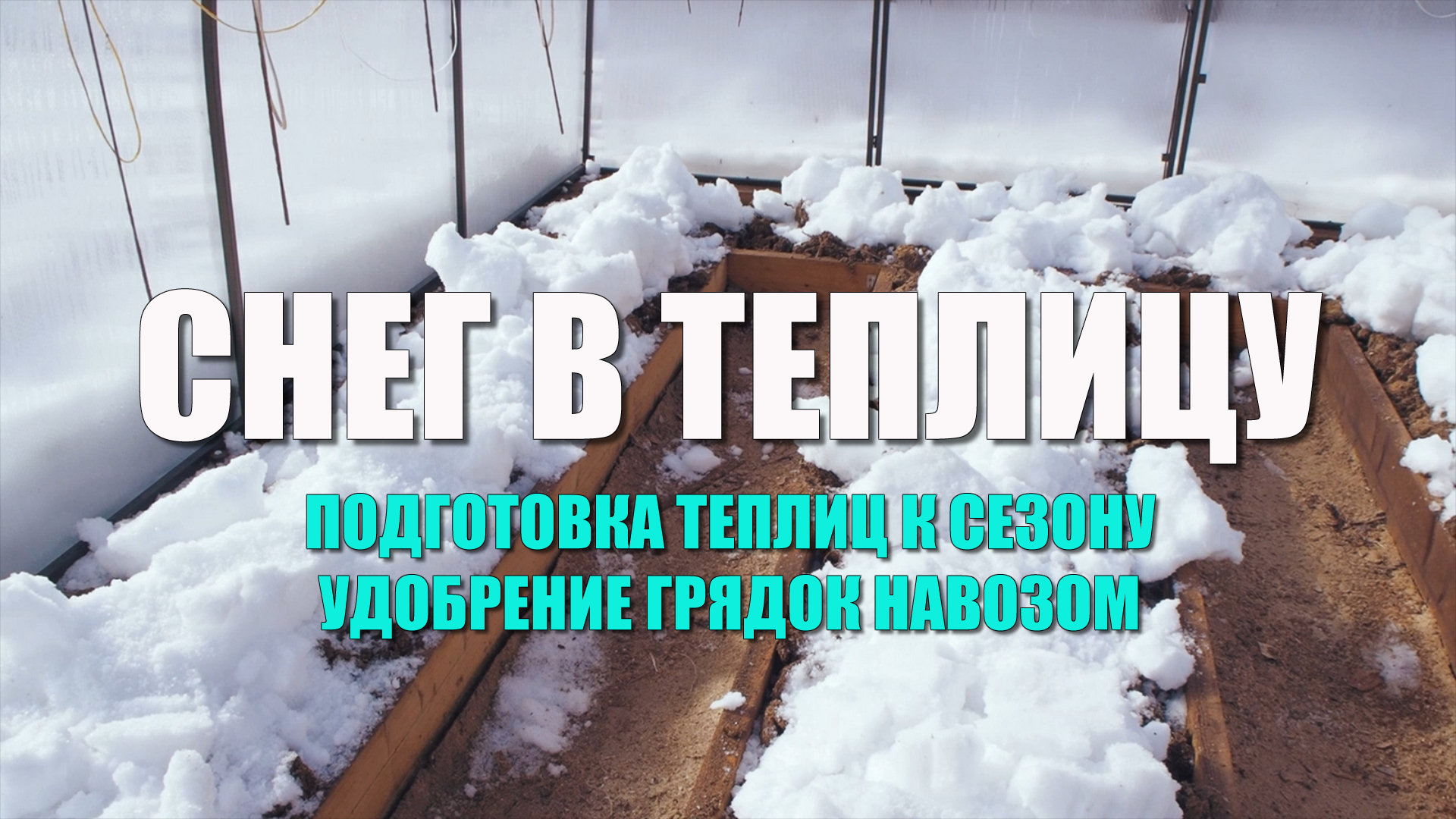 Подготовка теплиц к новому сезону. Закинули снег в теплицу. Удобрение грядок навозом