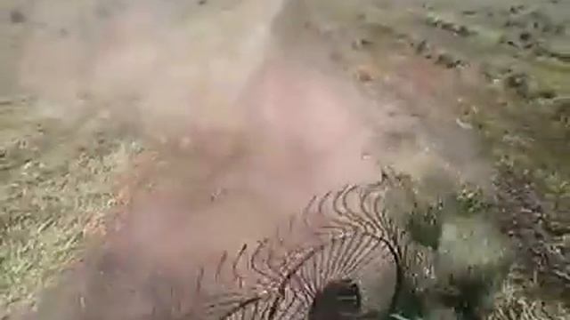 грабли ворошилки Agrolead работа смотреть онлайн