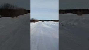 Прогулка во время карантина за город, впервые за две недели карантина.