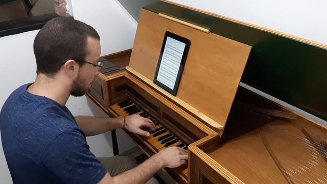 Shape of you / Harpsichord cover смотреть онлайн