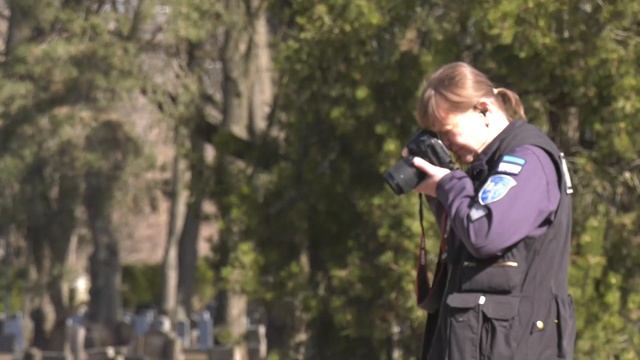 Осквернение памятника  Воину Освободителю (Бронзовый солдат).