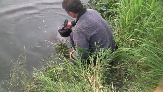 Как приготовить икру в походных условиях смотреть онлайн