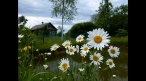 Родная сторонка