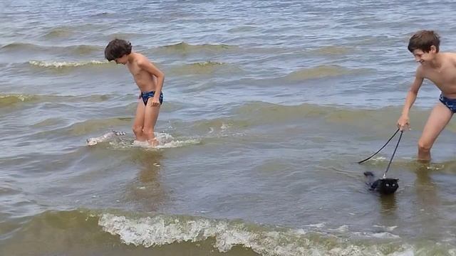 5.07.2023 Шлёпа и Муся открыли плавательный сезон на нашей Волге