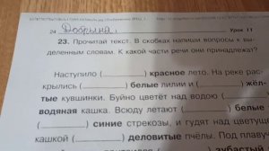 Школа мягких игрушек. Директор устроил самостоятельную работу.