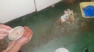 Новая ловушка для тараканов. Выловить всех тараканов в квартире