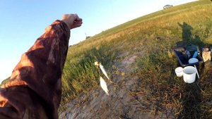 Клев карася на самодельный пенопласт. Рыбалка на донки с сигнализатором "Пончик"