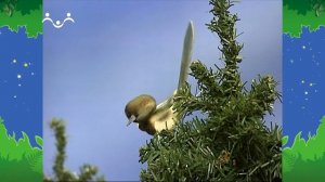 Вечер в Шишкином Лесу. Сказка. Подарок сороки